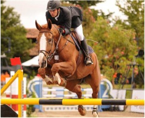 Lee más sobre el artículo SporTV Riders Cup 2010, Brasil